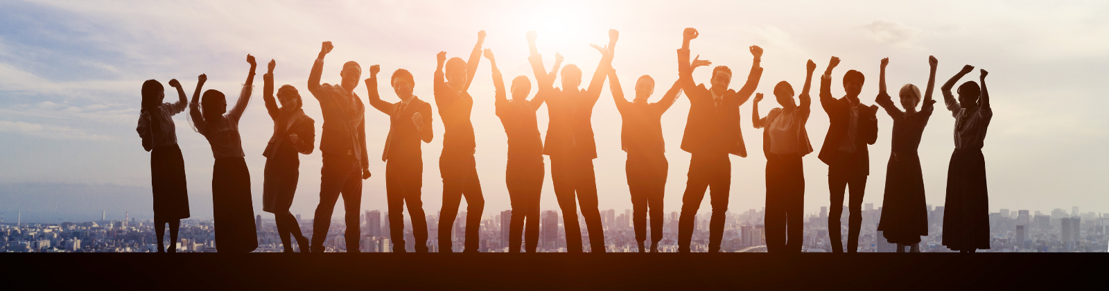 Professionals looking for career change